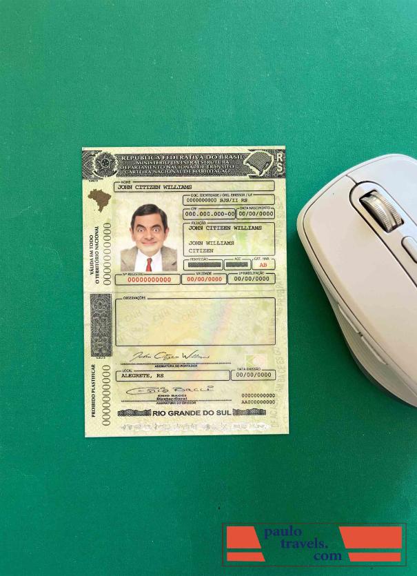 Brazil DL (Rio Grande do Sul) photolook PSD template